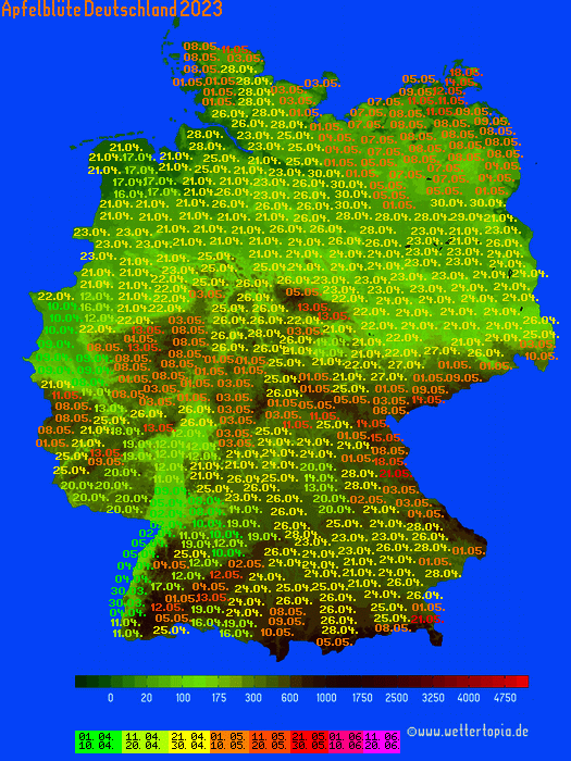 Apfelblüte Deutschland