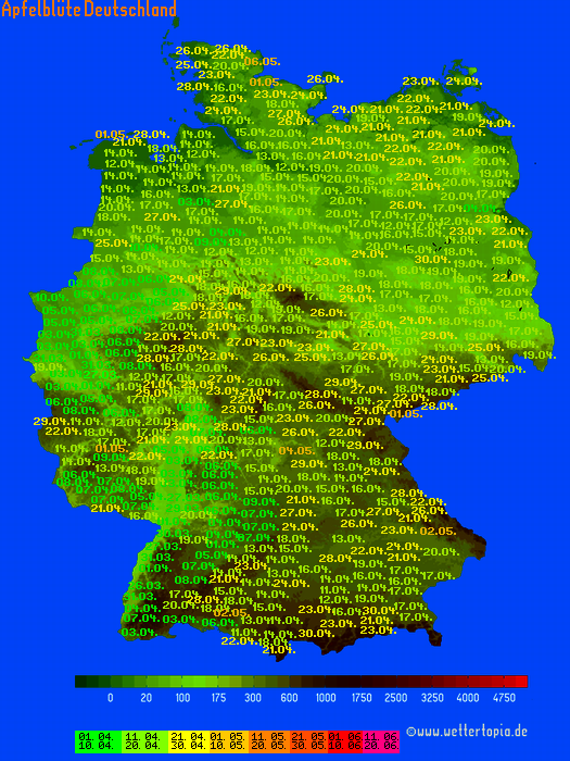 Apfelblüte Deutschland