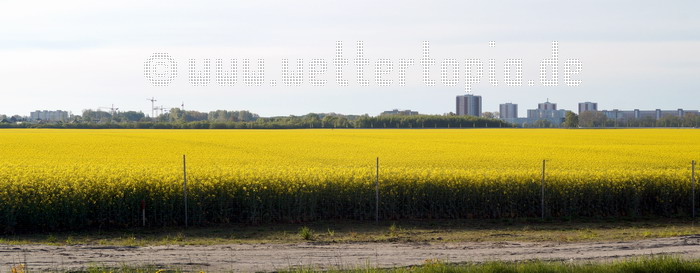 Blick auf die Lütten Klein