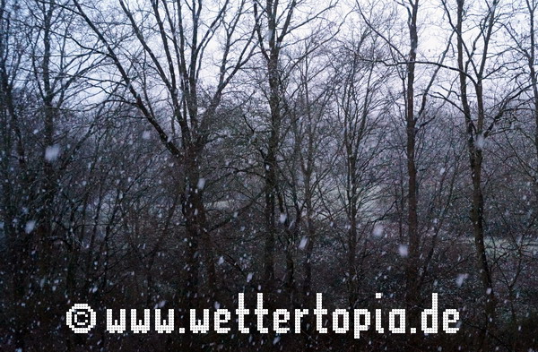 Schneefall in Rostock