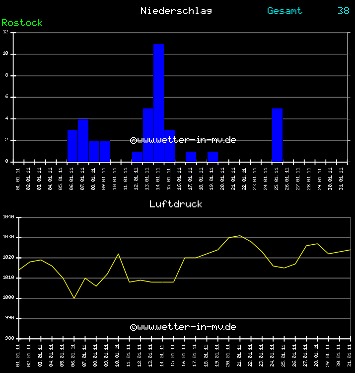 Niederschlag und Luftdruck Monat Januar 2011