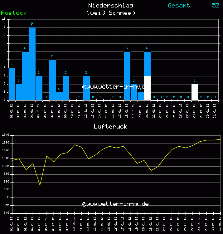 Niederschlag und Luftdruck Monat Januar 2011