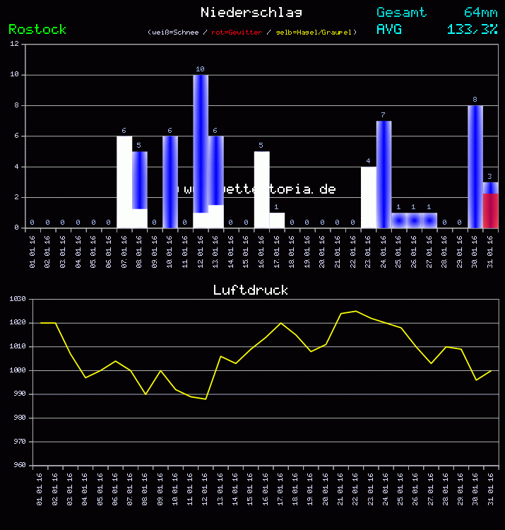 Niederschlag und Luftdruck Monat Januar 2011